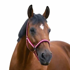 Norton - Licol nylon doublé néoprène rouge/ ecru New