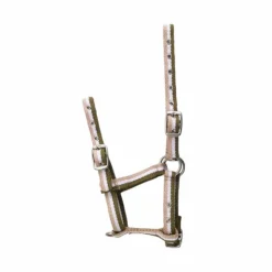 Norton - Licol poulain réglable kaki/ blanc/ Beige New