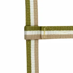 Norton - Licol poulain réglable kaki/ blanc/ Beige New