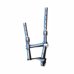 Online Norton - Licol pour poulains réglable choco/ blanc/ ciel Bleu