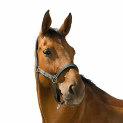 Norton - Licol Reflective Vert Outlet