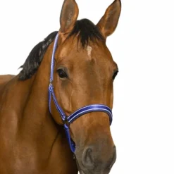 New Norton - Licol Reflective Bleu