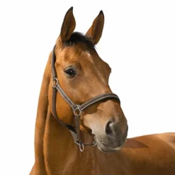 Norton - Licol Reflective choco Marron Clearance