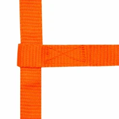 Norton - Licol réglable mini orange Discount