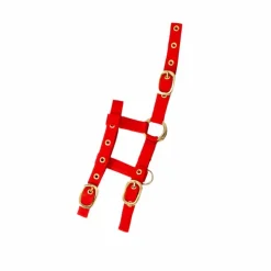 Norton - Licol réglable mini rouge