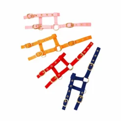 Outlet Norton - Licol réglable mini bleu ciel