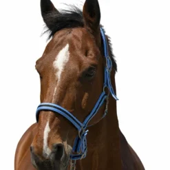 Norton - Licol Satine ciel/ noir Bleu Clearance