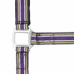 Norton - Licol strong prune/ vert/ blanc Discount