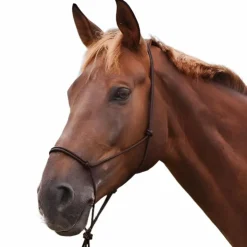 Clearance Norton - Licol éthologique doux marron