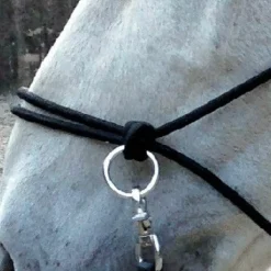 Clearance Norton - Licol éthologique avec rênes Noir