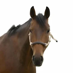 Norton - Licol éthologique corde/ synthétique Beige New