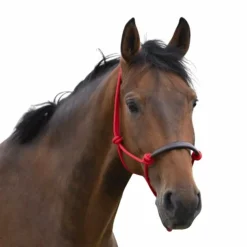 Norton - Licol éthologique corde/ synthétique Rouge Sale