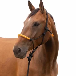 Hot Norton - Licol éthologique et longe Fun colour /orange Noir