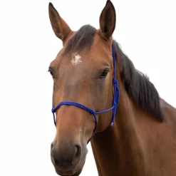 Best Norton - Licol éthologique doux bleu roi