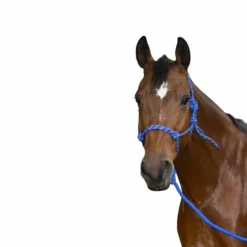 Norton - Licol éthologique longe "eco" Bleu Discount