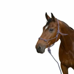 Norton - Licol éthologique longe "eco" /rose Gris New