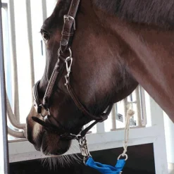 Norton - Longe de transport vif Bleu Sale