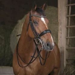 Norton - Rênes de bride 13mm poney Noir Online