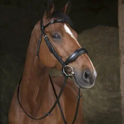 Norton - Rênes de filet 16mm poney Noir Outlet