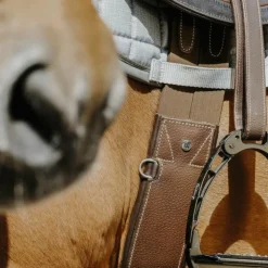 Outlet Norton - Sangle anatomique Magnet havane Marron