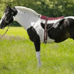 Norton - Tapis de monte à cru /beige Marron New