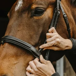 Norton Pro - Bridon Apophyse Noir Outlet