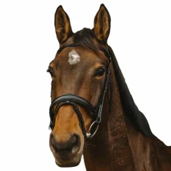 Norton Pro - Bridon Dark Noir Online