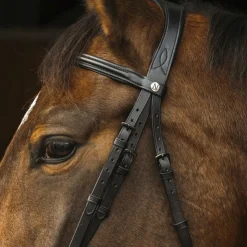 Norton Pro - Bridon Dark Noir Online