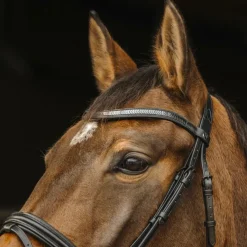 Norton Pro - Bridon Galon Noir Discount