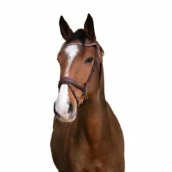 New Norton Pro - Bridon Miss Havane