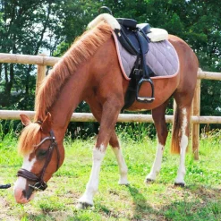 New Norton Pro - Bridon Miss Havane