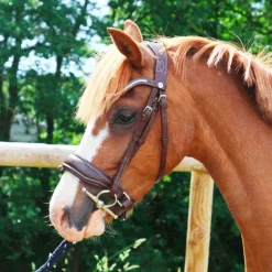 New Norton Pro - Bridon Miss Havane