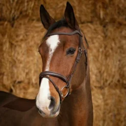 Online Norton Pro - Bridon Perle Havane