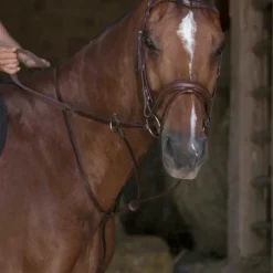 Norton Pro - Martingale à anneaux havane Outlet