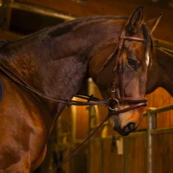 Sale Norton Pro - Rênes allemandes sangle havane Marron