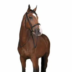 New Norton Pro - Rênes en caoutchouc noir