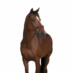 Discount Norton Pro - Rênes en caoutchouc havane