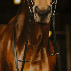 New Norton Pro - Rênes lisses Noir