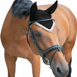 Paddock Sports - Bonnet Origine Noir Discount