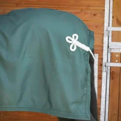 Online Paddock Sports - Chemise de présentation 0g Vert