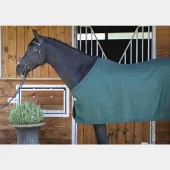 Online Paddock Sports - Chemise de présentation 0g Vert