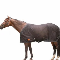 Paddock Sports - Chemise séchante Mesh Noir Online