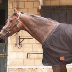 Paddock Sports - Chemise séchante Mesh Noir Online