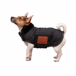 Paddock Sports - Couverture pour chien Diagonal Noir Sale