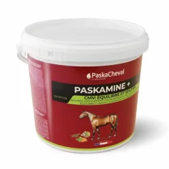 Discount Paskacheval - Complément alimentaire performance Paskamine