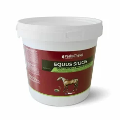 Paskacheval - Complément alimentaire articulaire Equus silicis Clearance