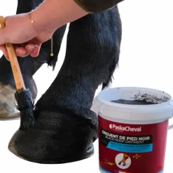 Sale Paskacheval - Onguent pour sabots Noir