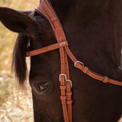 Clearance Pénélope - Bridon Elégance Cognac