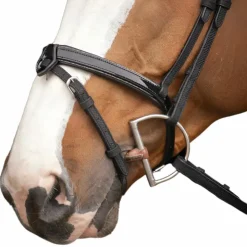 Pénélope - Bridon Oxford Noir Clearance