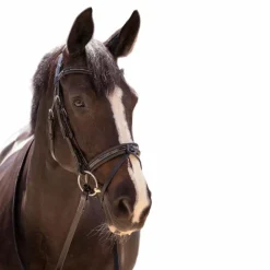 Pénélope - Bridon Smoothie avec rênes Noir Outlet